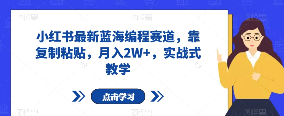 小红书最新蓝海编程赛道，靠复制粘贴，月入2W+，实战式教学