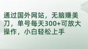 通过国外网站，无脑赚美刀，单号每天300+可放大操作，小白轻松上手