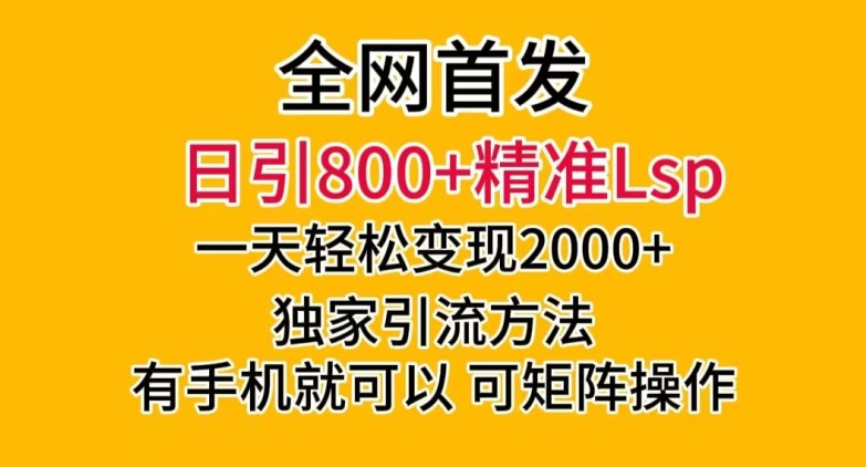 全网首发！日引800+精准老色批，一天变现2000+，独家引流方法，可矩阵操作