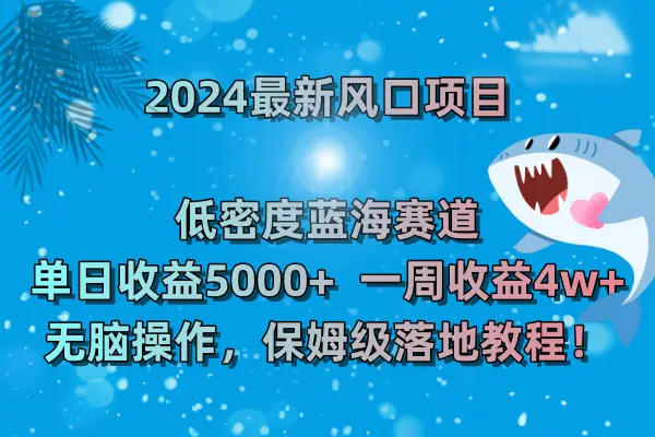 2024最新风口项目 低密度蓝海赛道，日收益5000+周收益4w+ 无脑操作，保姆级落地教程