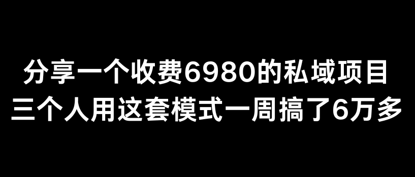 分享一个外面卖6980的私域项目，三个人用这套模式一周搞了6万多