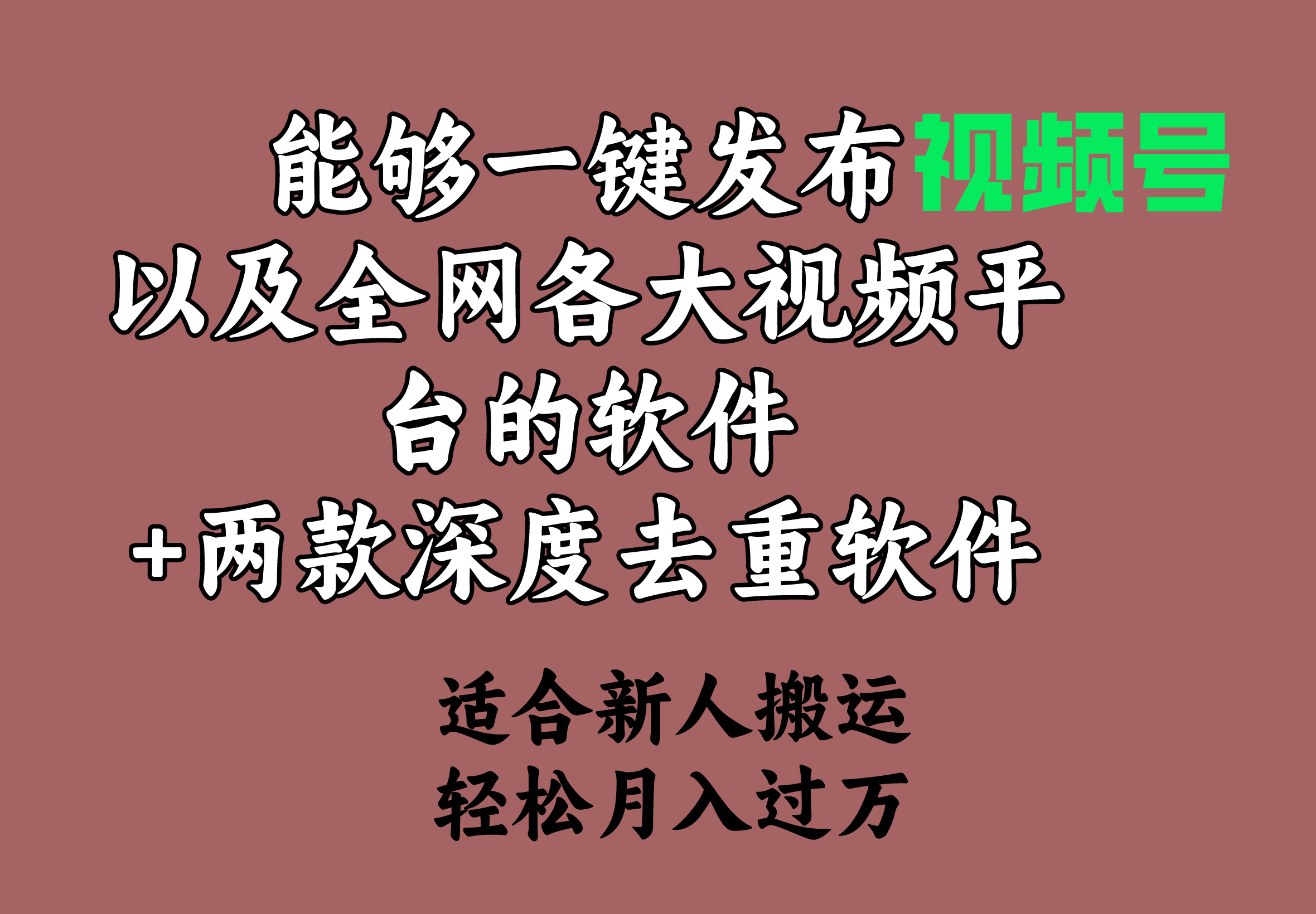 能够一键发布视频号以及全网各大视频平台的软件+两款深度去重软件 适合新人搬运 月入过万