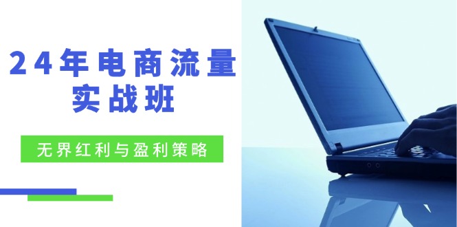 24年电商流量实战班：无界 红利与盈利策略，终极提升/关键词优化/精准人群拓展/创新玩法