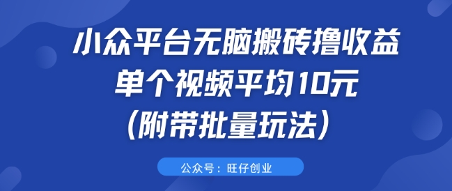 小众平台无脑搬砖撸收益 单个视频平均10元 (附带批量玩法)