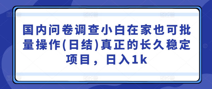 国内问卷调查，小白在家也可批量操作(日结)，真正的长久稳定项目，日入1k